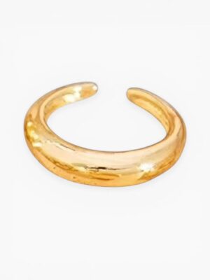 Sculpted Dome Ring – Gold / Silver Tone